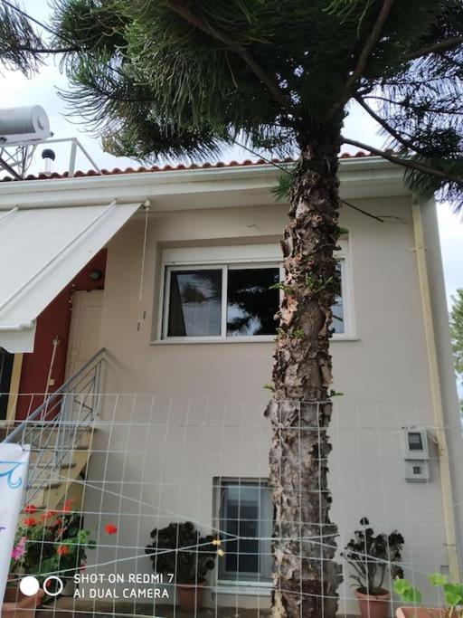 Grecos Apartment Preveze Dış mekan fotoğraf